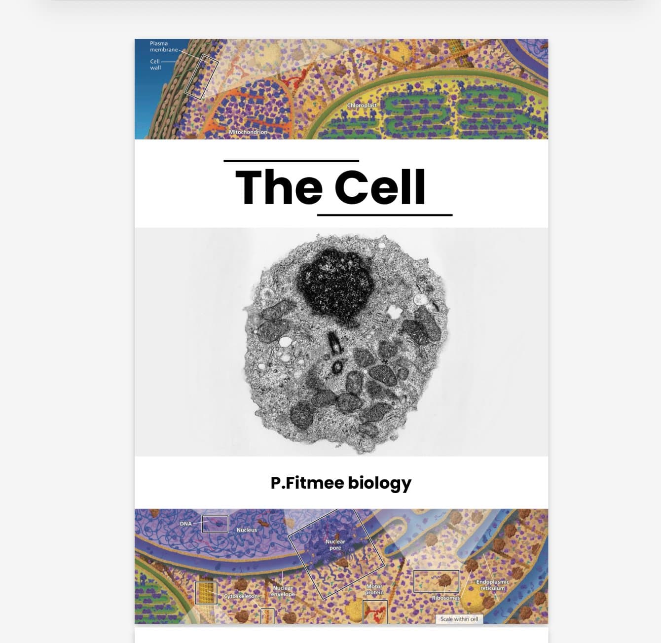 Page banner
