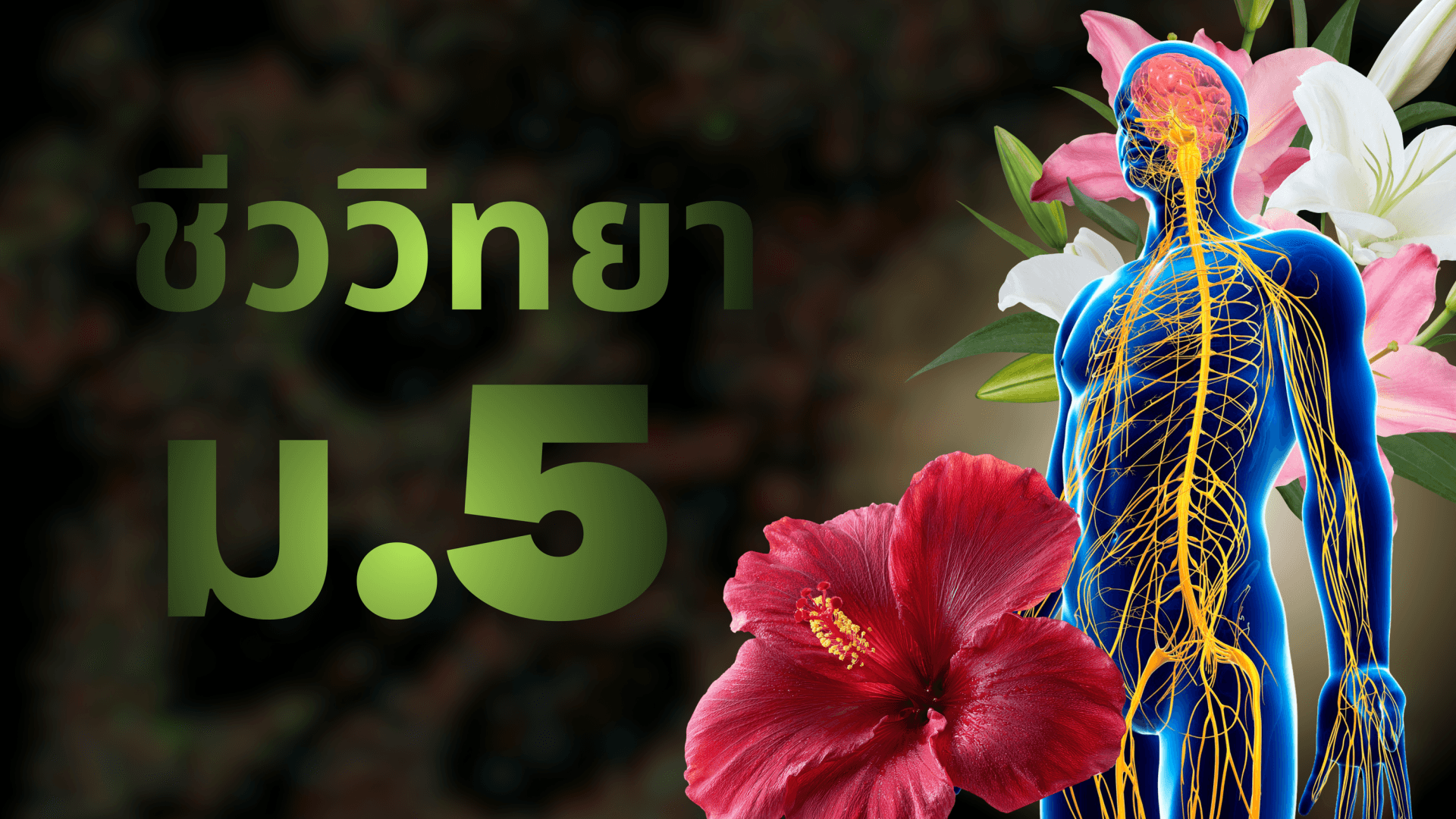 ชีววิทยา ม.5 ติวเนื้อหา