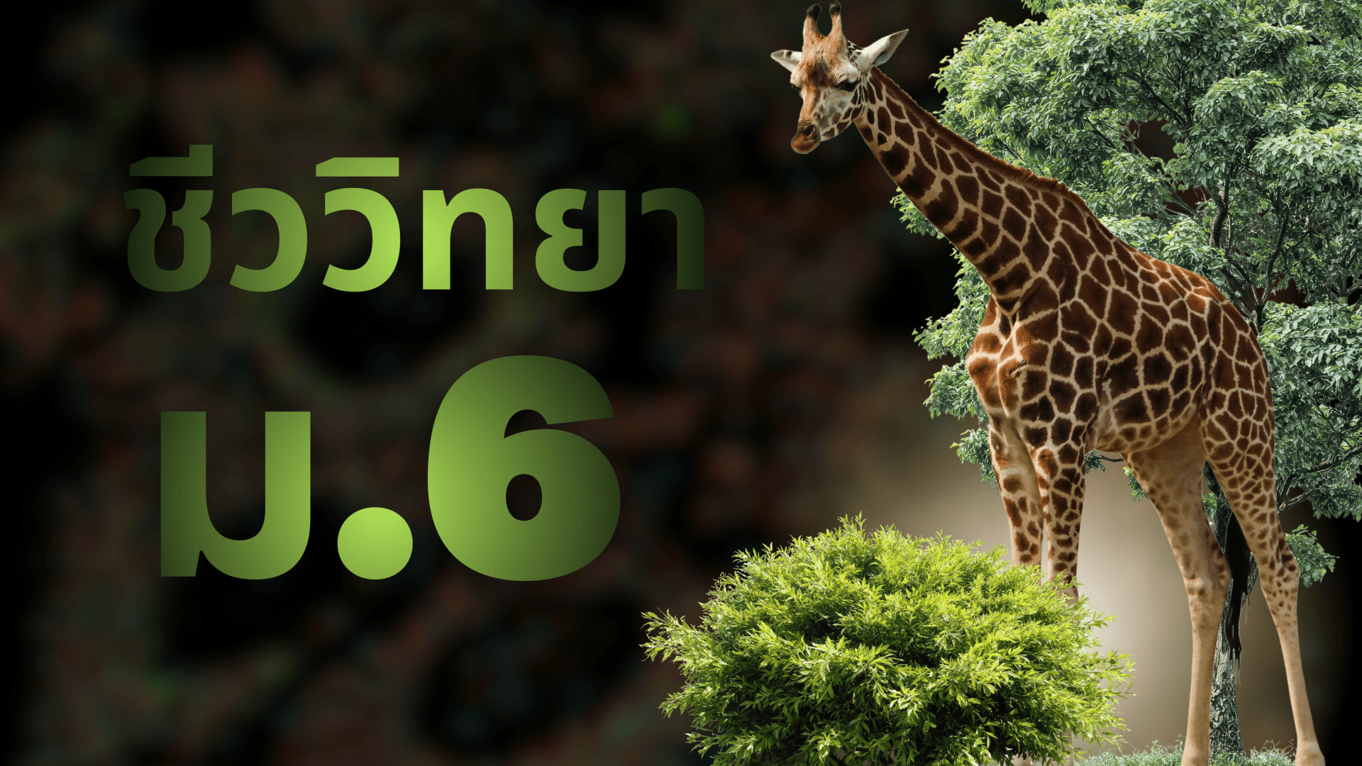 ชีววิทยา ม.6 ติวเนื้อหา
