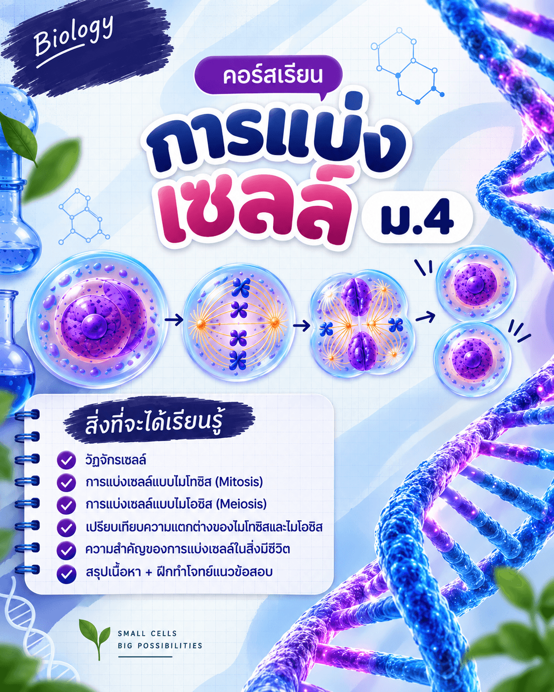 การแบ่งเซลล์ ม.4